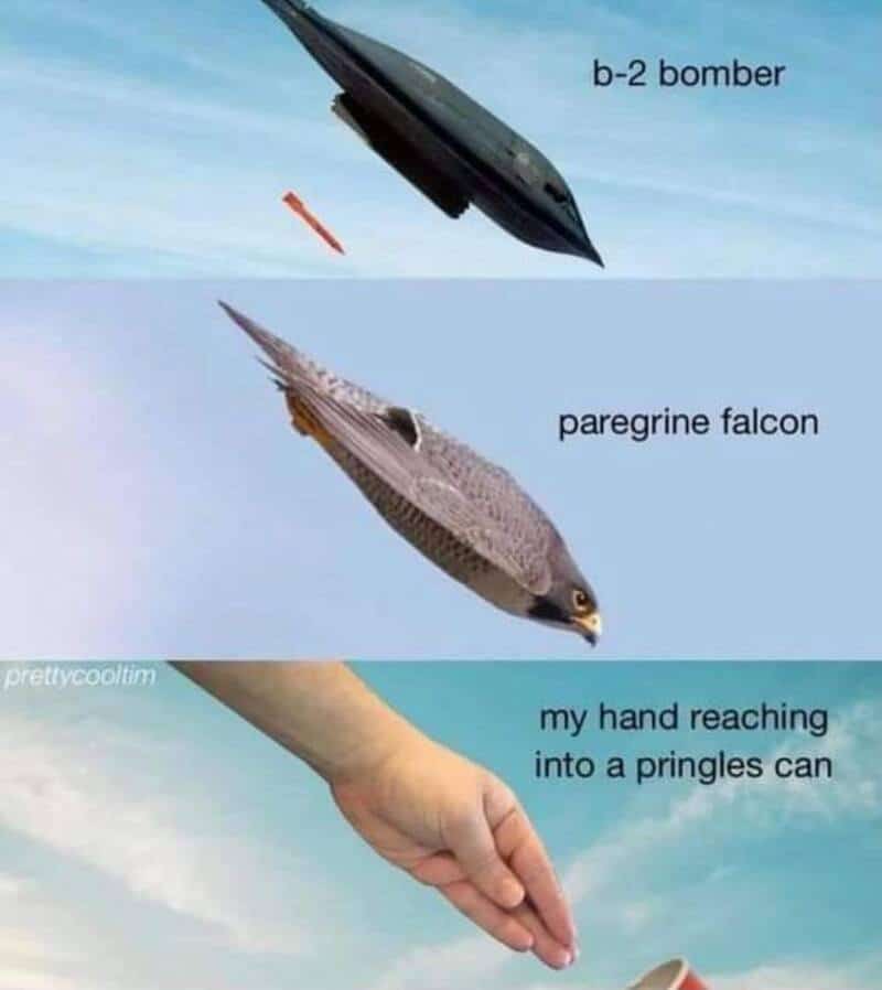 Humorous aviation meme comparing a B-2 bomber, peregrine falcon, and a hand reaching into a Pringles.