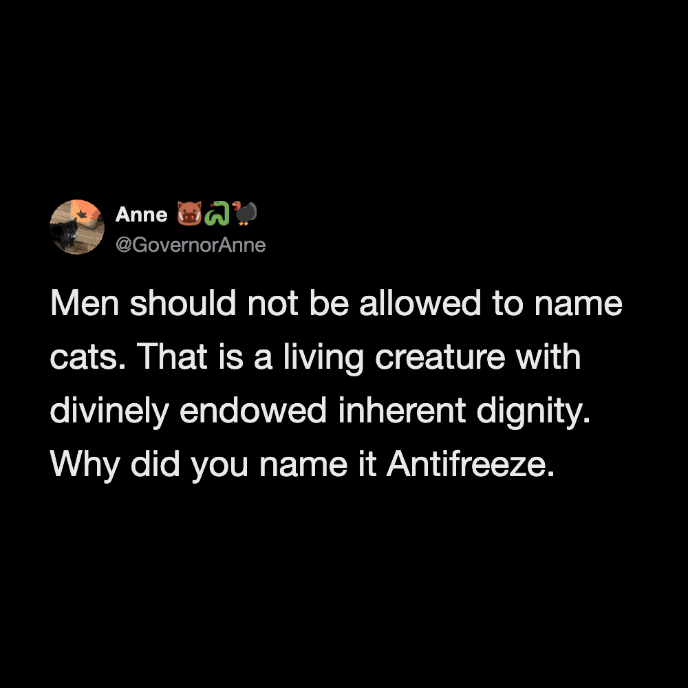 Cat tweets about the dignity of naming cats, emphasizing they are living creatures.