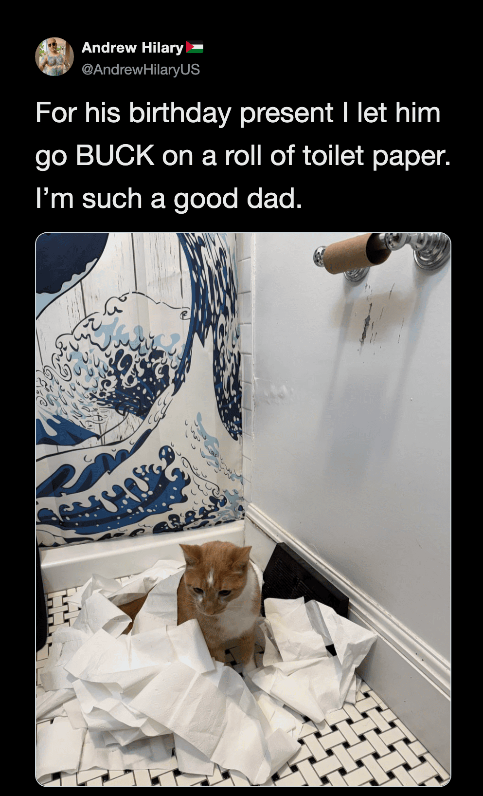 Adorable kitten playing with toilet paper roll for birthday fun.