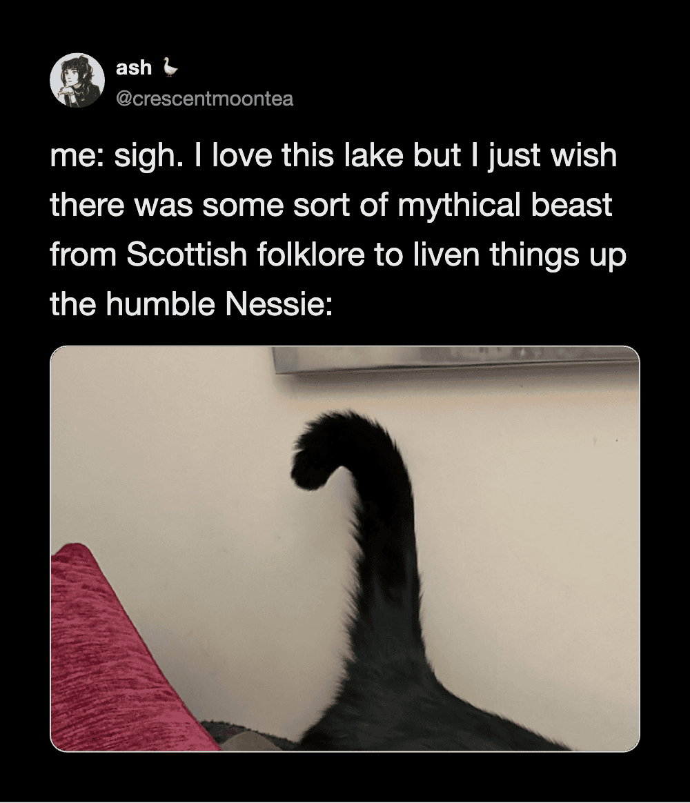 Cat tweets about a mythical Scottish beast by a lake.