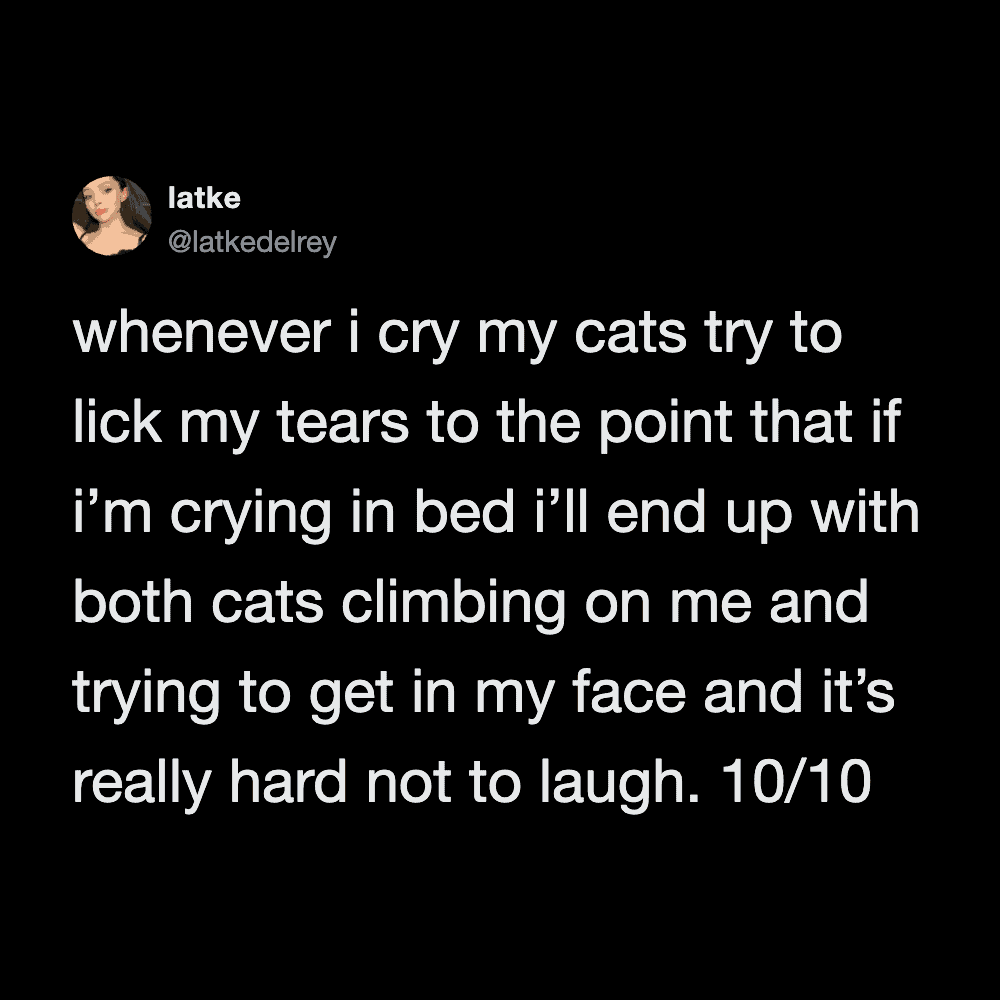 Humorous cat tweet about crying and cats climbing on face when upset.