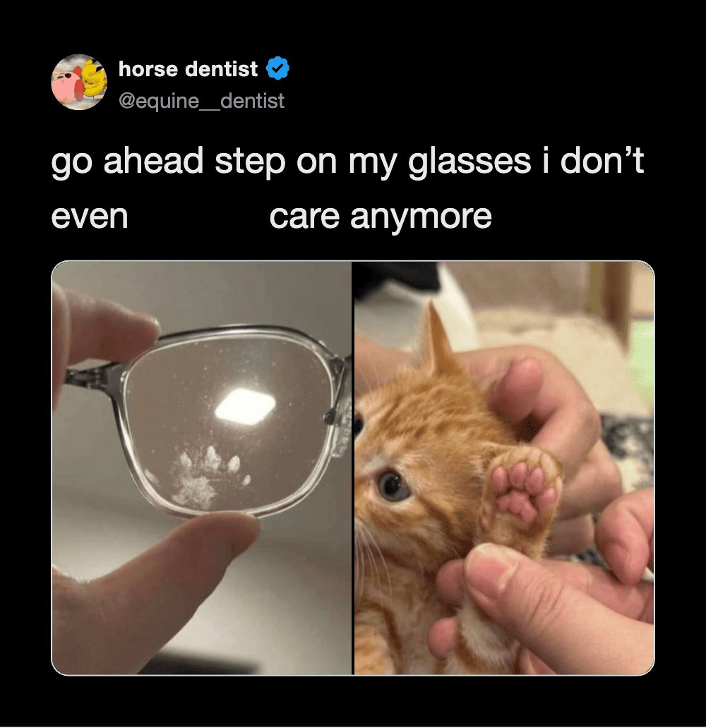 Funny cat meme with a person holding a tiny glass and a kitten pawing at their hand.