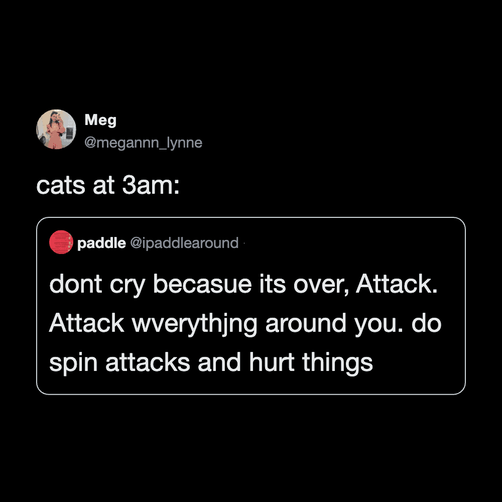 Funny cat tweet about attack and spin attacks at 3am.