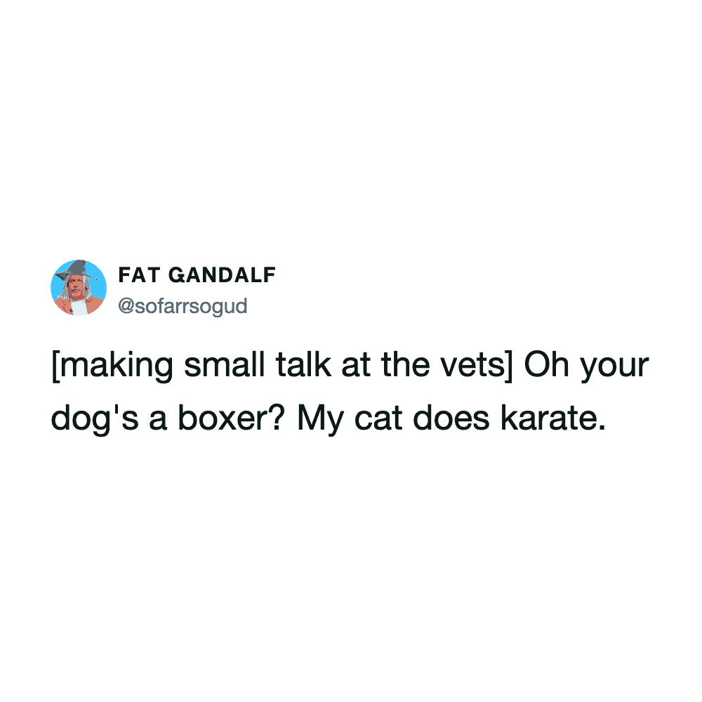 Humorous cat tweet about karate and small talk, related to cat tweets.