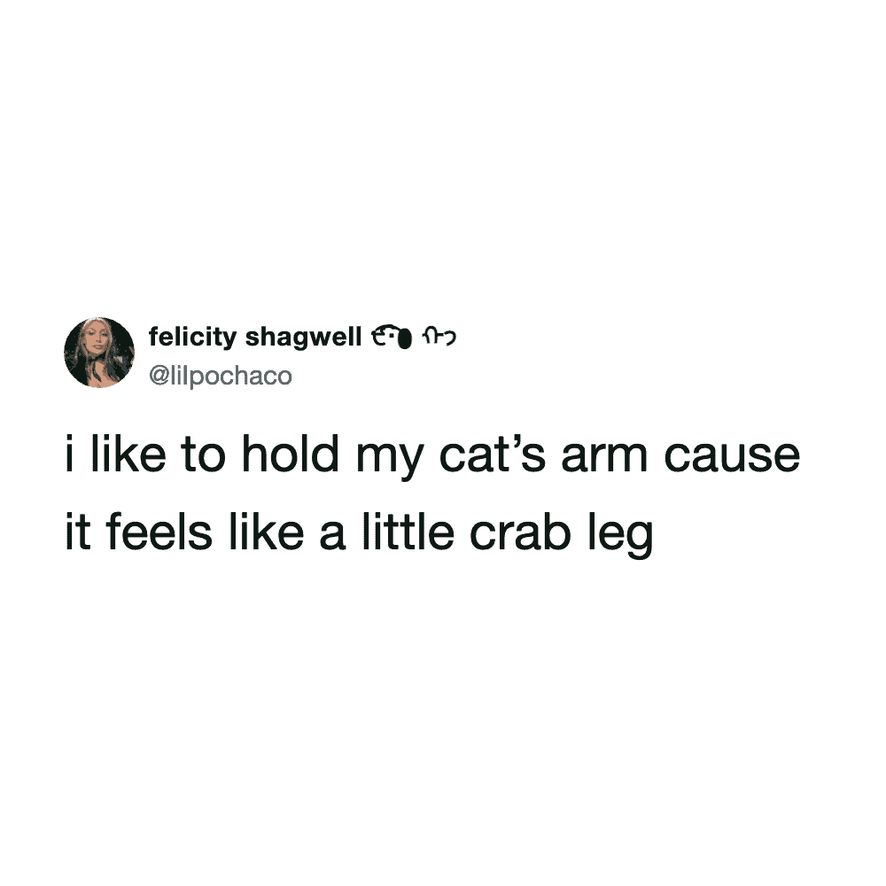 Person holding a cat's arm, mimicking a crab leg, in a humorous pose.