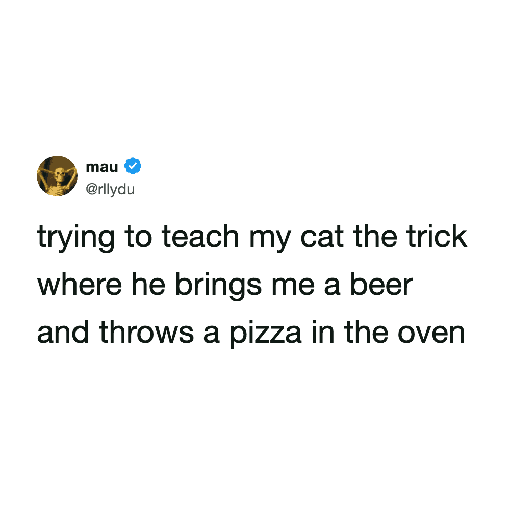 Cat tweets about trying to teach his cat to bring beer and pizza, highlighting funny pet moments.