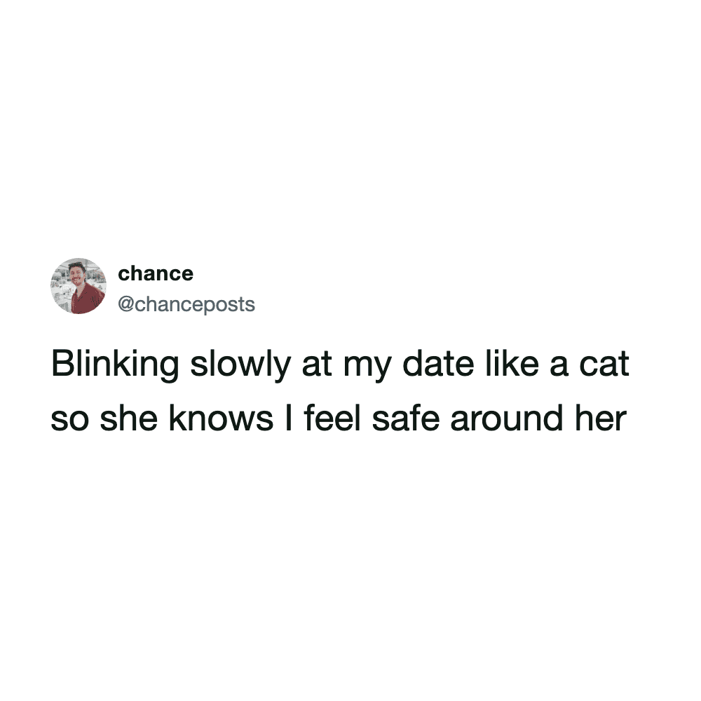 Cat blinking slowly, showing a calm and safe demeanor.