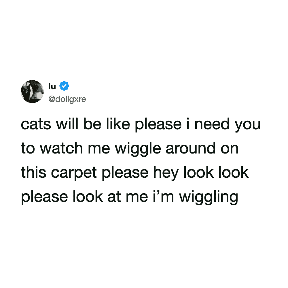Adorable cat with a playful expression, tweeting about wiggling on the carpet.