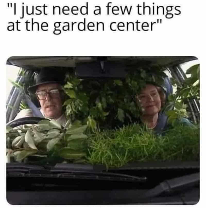 A woman and man sitting in a car surrounded by plants, with the quote "I just need a few things at t.