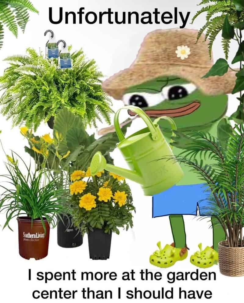 Frog with a straw hat watering plants, sad face, "Unfortunately" text at top.