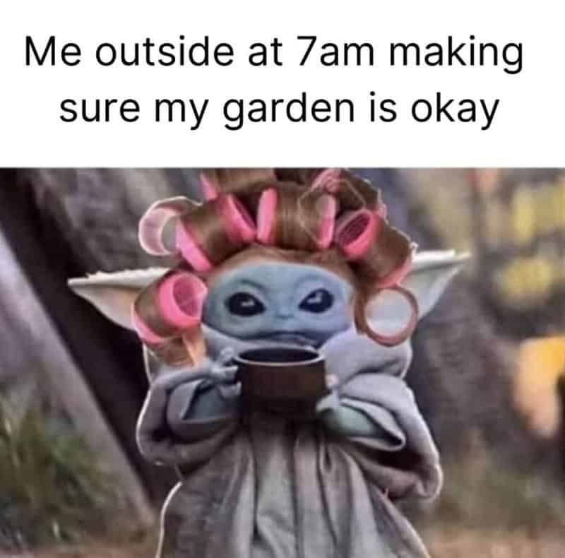 7AM outside, person with a creature with curlers in hair, holding a cup, with text "Me outside at 7a.