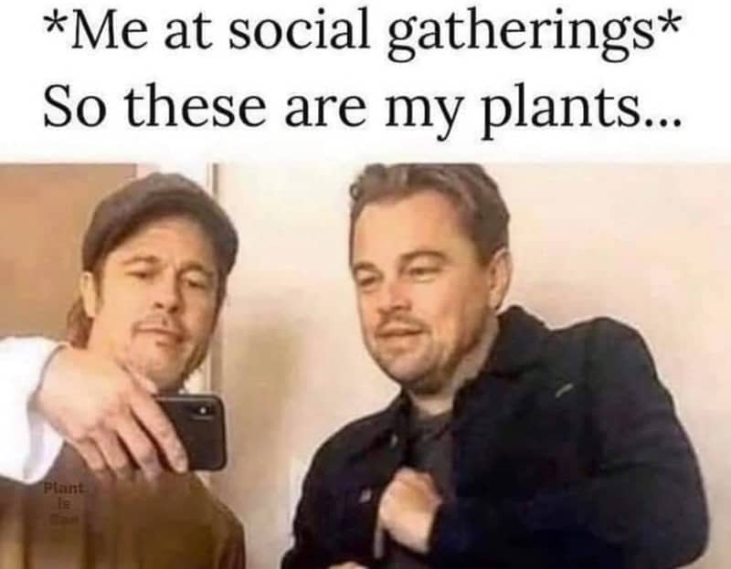 *Me at social gatherings* So these are my plants...