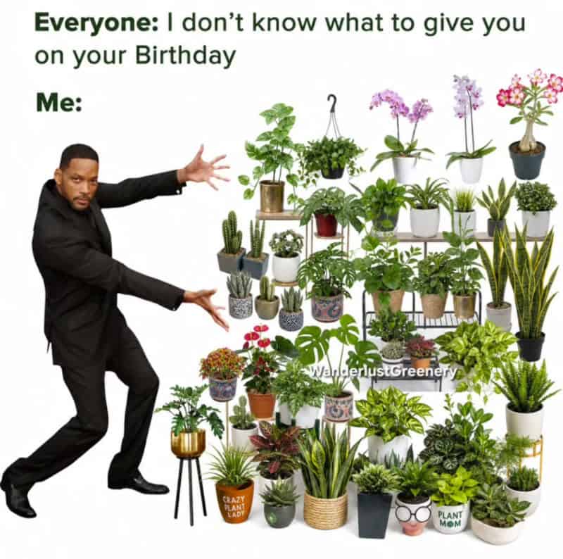 Everyone: I don’t know what to give you on your Birthday Me:.