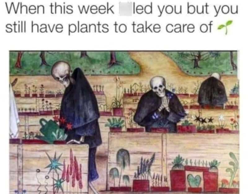 Skeletons gardening with plants, humorous take on plant care during the week.