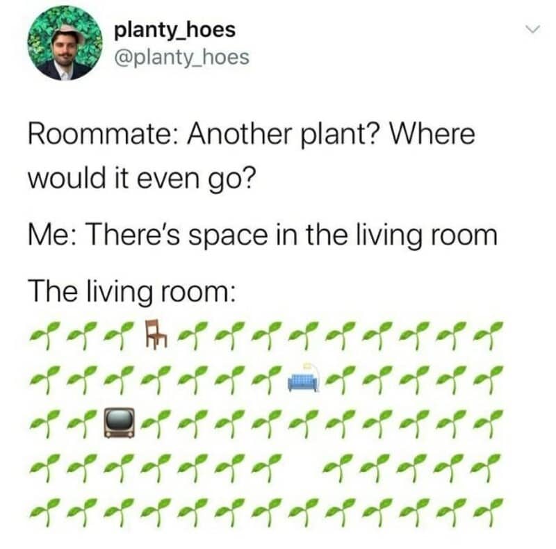 A woman’s humorous tweet about her living room filled with plants, furniture, and a TV.