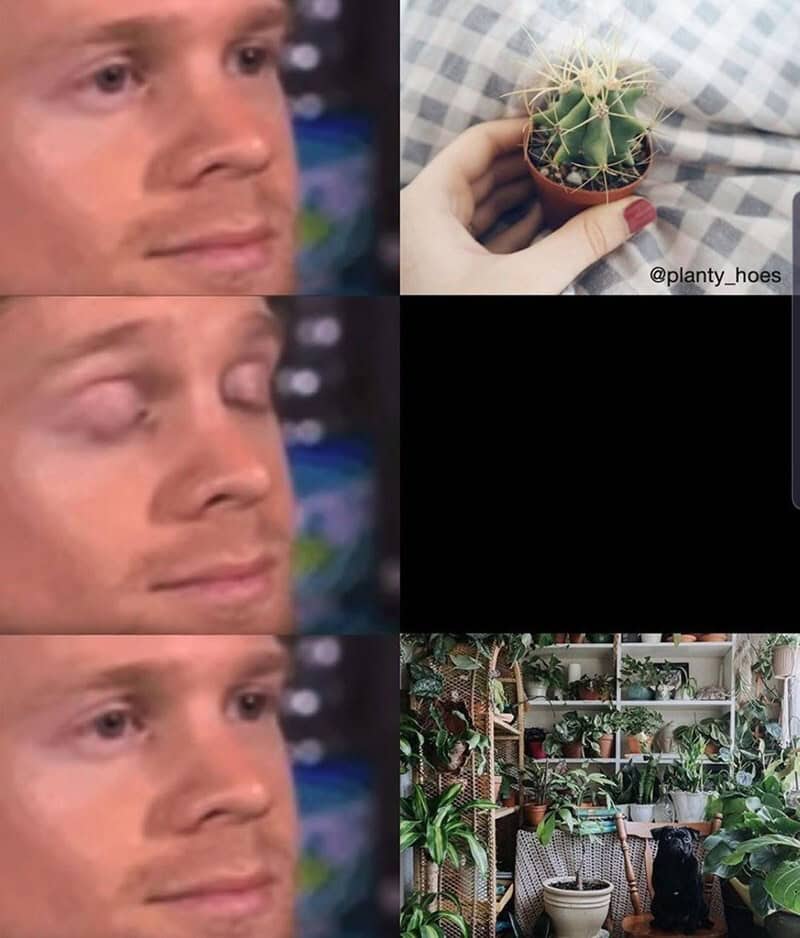 A woman holding a small potted cactus plant.