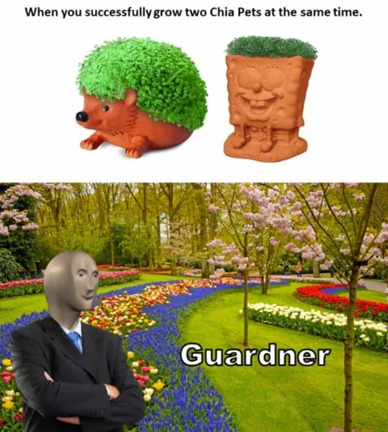 Chia Pets resembling hedgehogs and pots, with a garden scene of colorful flowers and trees.