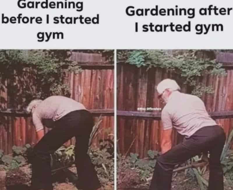 A man gardening before and after starting gym, showing improved posture and physique.