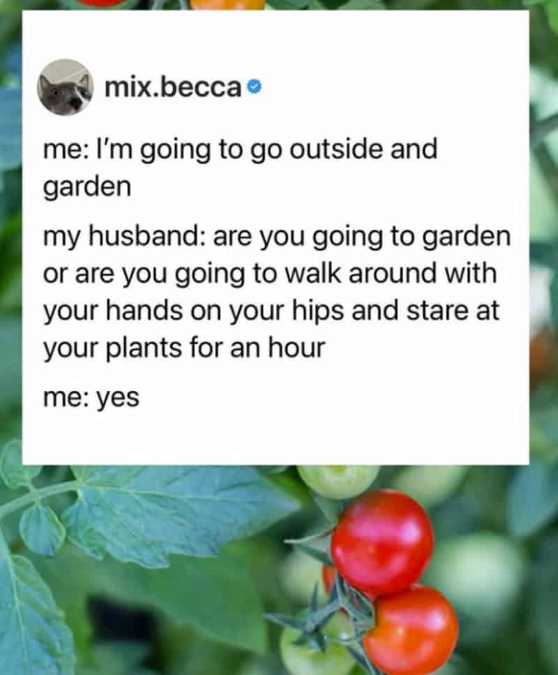 A woman’s humorous text conversation about going outside and gardening, with a background of tomato.