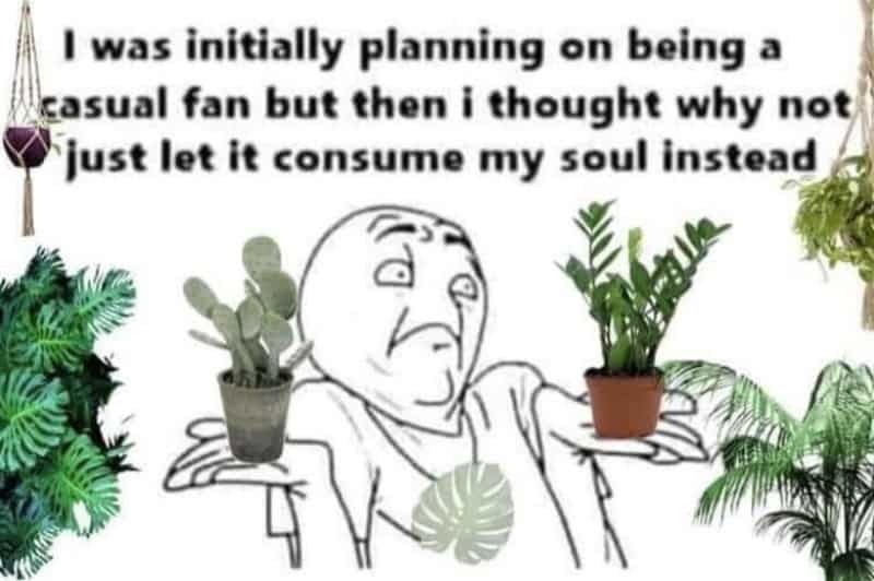 A woman holding two potted plants with a meme text about choosing plants over casual fandom.