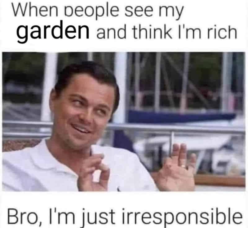 When people see my garden and think I'm rich.