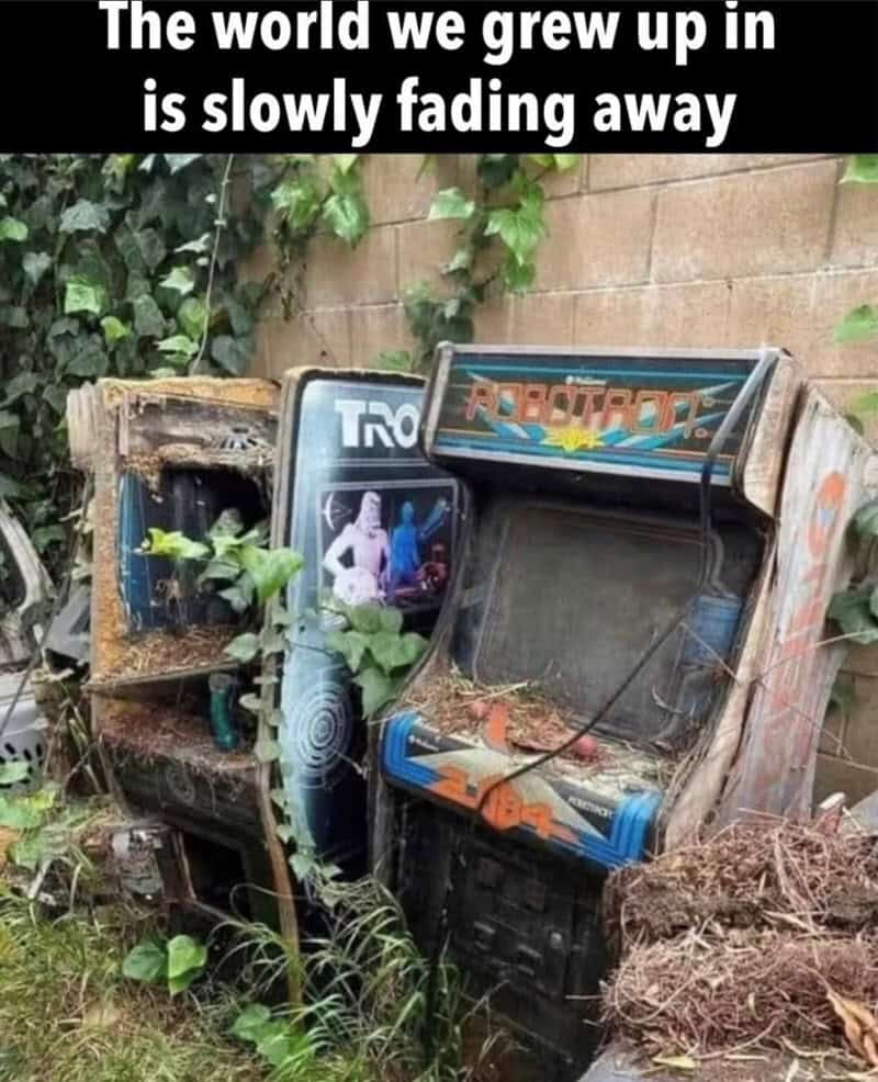Vintage arcade game machines in a neglected outdoor area with overgrown vegetation.