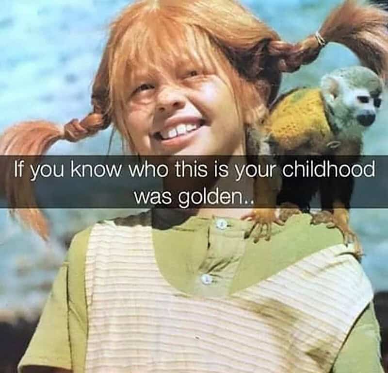 Childhood nostalgia meme with girl and dog, genx humor.