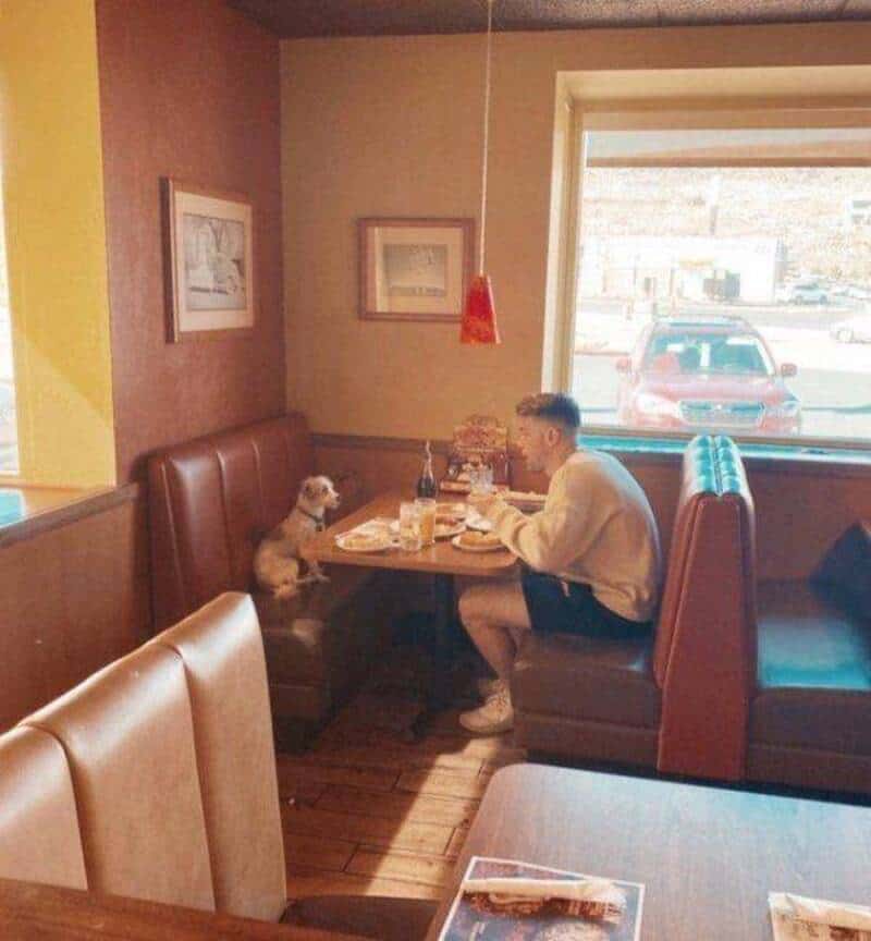 Dog sitting at a restaurant booth with a person, sharing a meal in a cozy setting.