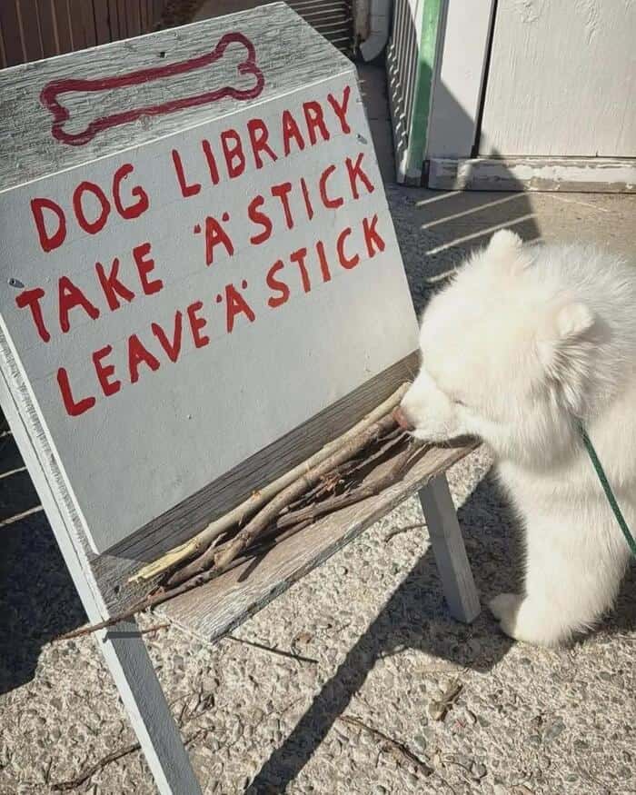 Dog library sign with instructions to take or leave a stick.