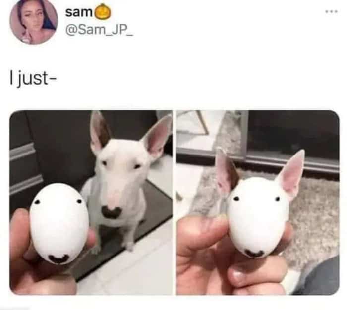 Cute dog holding an egg with a face drawn on it, resembling a dog.