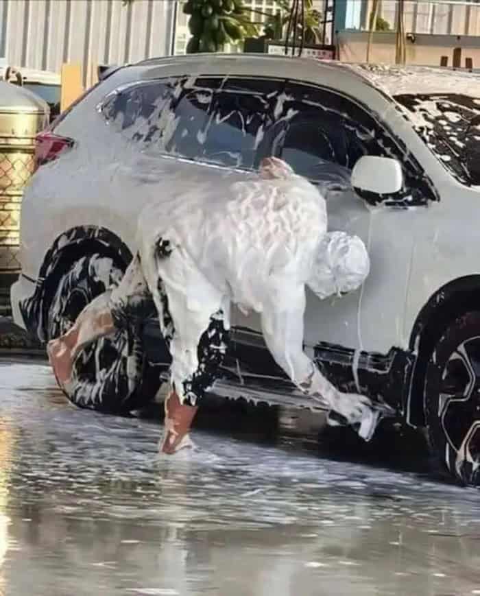 Person washing a white car with foam in a car wash station.