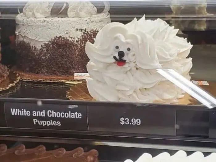 A cute white puppy cake with fluffy fur and a red tongue, decorated to look like a puppy.