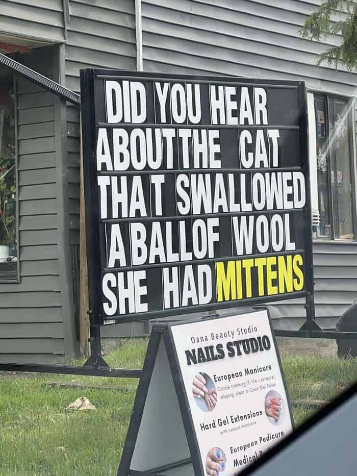 DID YOU HEAR ABOUT THE CAT THAT SWALLOWED A BALL OF WOOL? SHE HAD MITTENS.