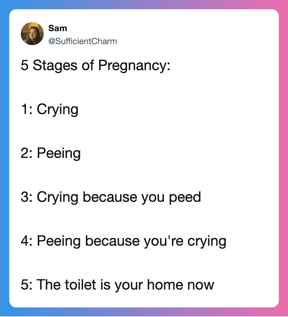 Humorous pregnancy tweet about emotional and physical changes.
