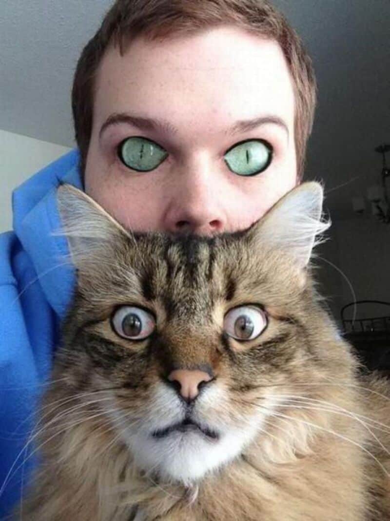 Person with glasses and a cat, capturing a funny moment for entertainment.