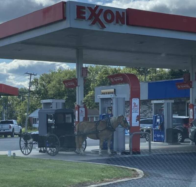 Horse at Exxon gas station pump.