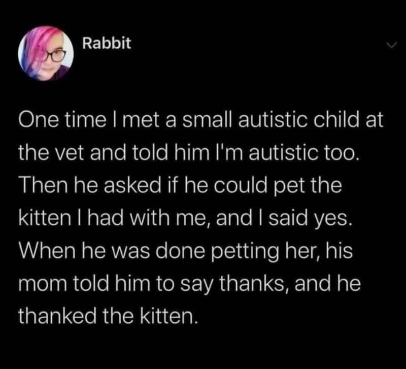 Heartwarming story of a small autistic child petting a kitten, showing kindness and understanding.