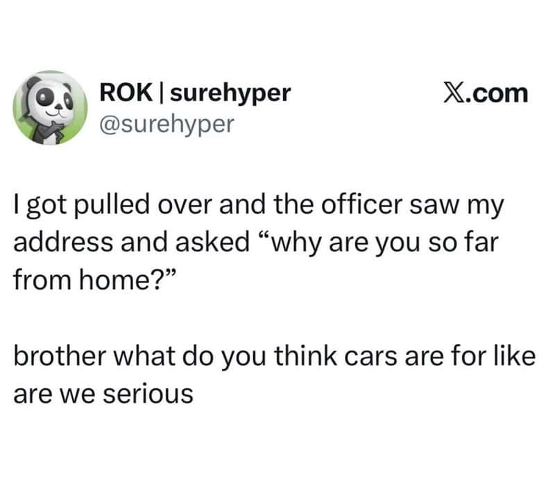 Funny cartoon of a panda character with the caption "brother what do you think cars are for like are.