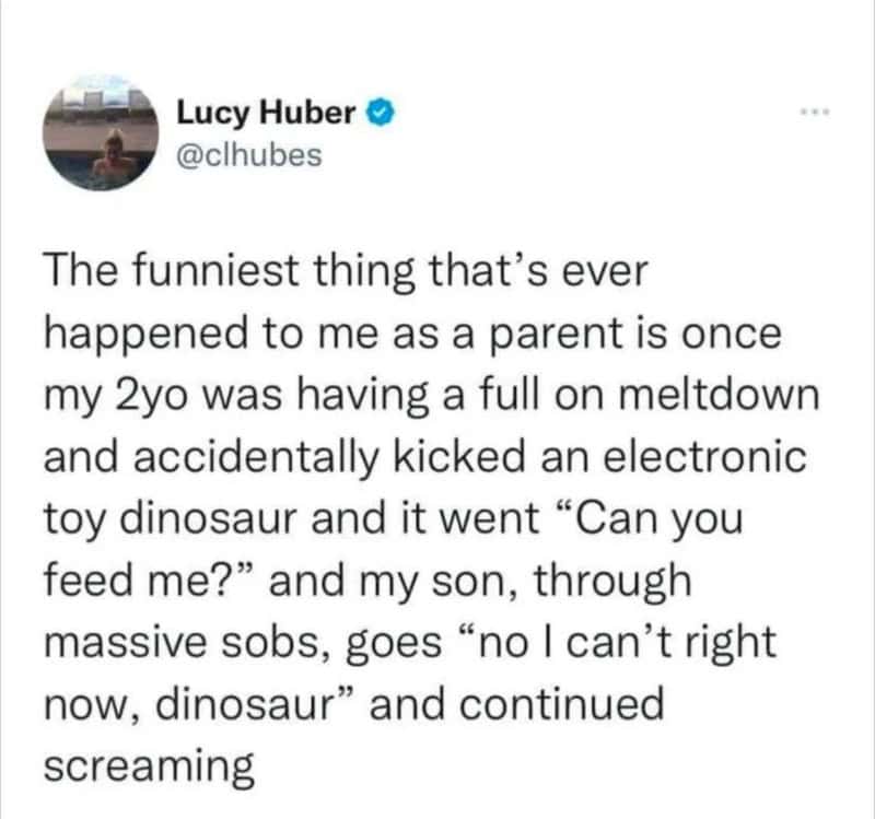 Humorous meme of a parent and child with a toy dinosaur, capturing a funny parenting moment.