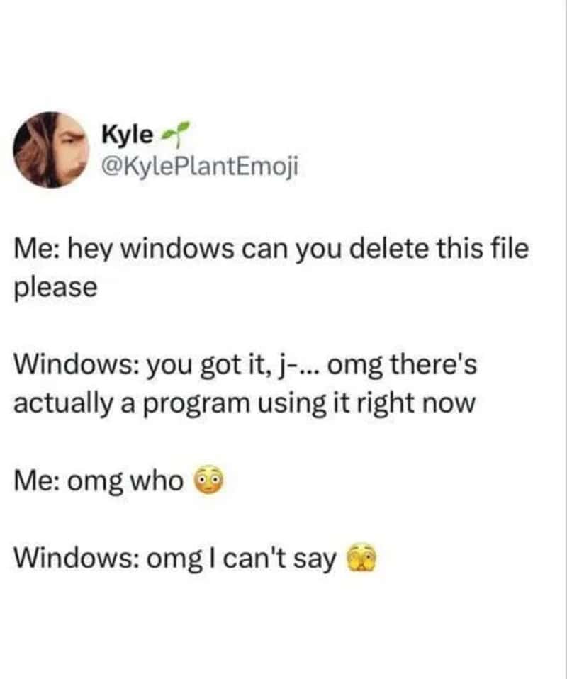 Hilarious Windows and file deletion joke featuring a humorous conversation.