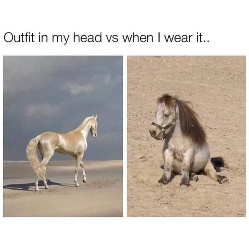 Humorous comparison of a horse's mane and a person's hairstyle.