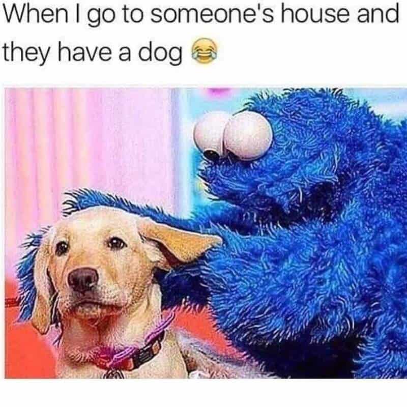 Dog with a funny expression being petted by a blue furry character, humorous meme about dogs and soc.