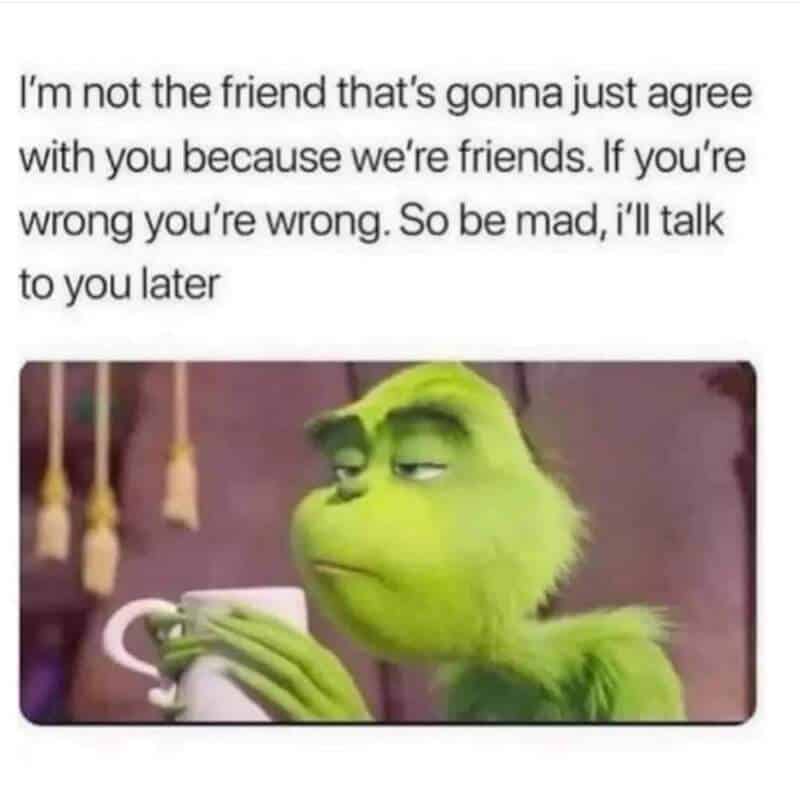 Friendship disagreement meme featuring Grinch with a cup, humorous relatable meme about friendship.