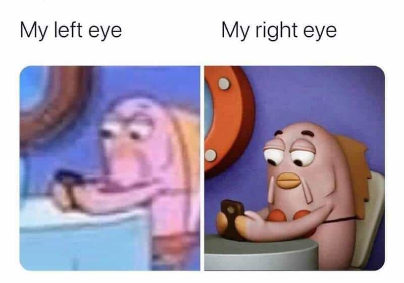 Humorous meme showing the difference between left and right eye focus.