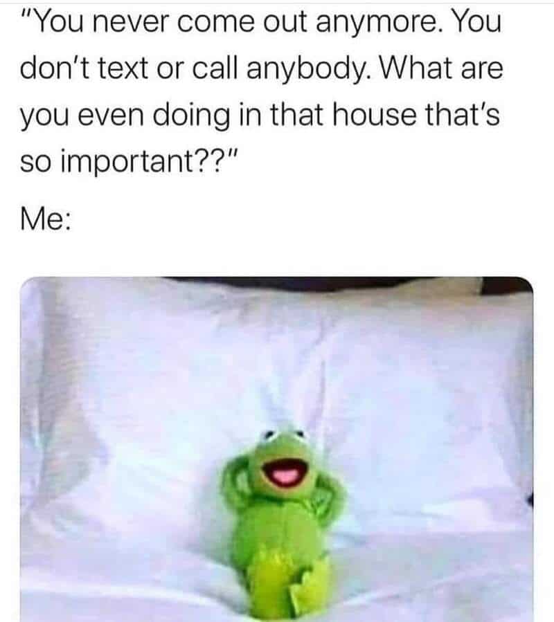 Relatable meme featuring a relaxed frog on a bed, perfect for funny relatable memes about social iso.