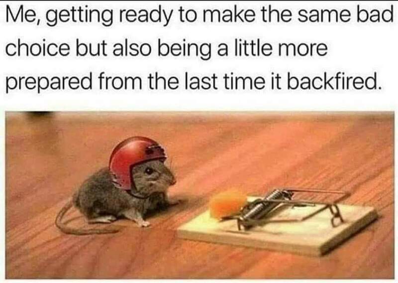 Cute mouse wearing a helmet next to a mousetrap, humorous meme.