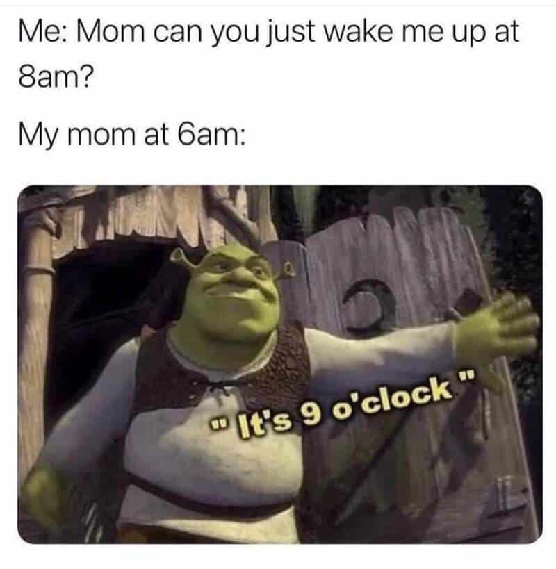 Funny Shrek meme about early mornings and sleep.