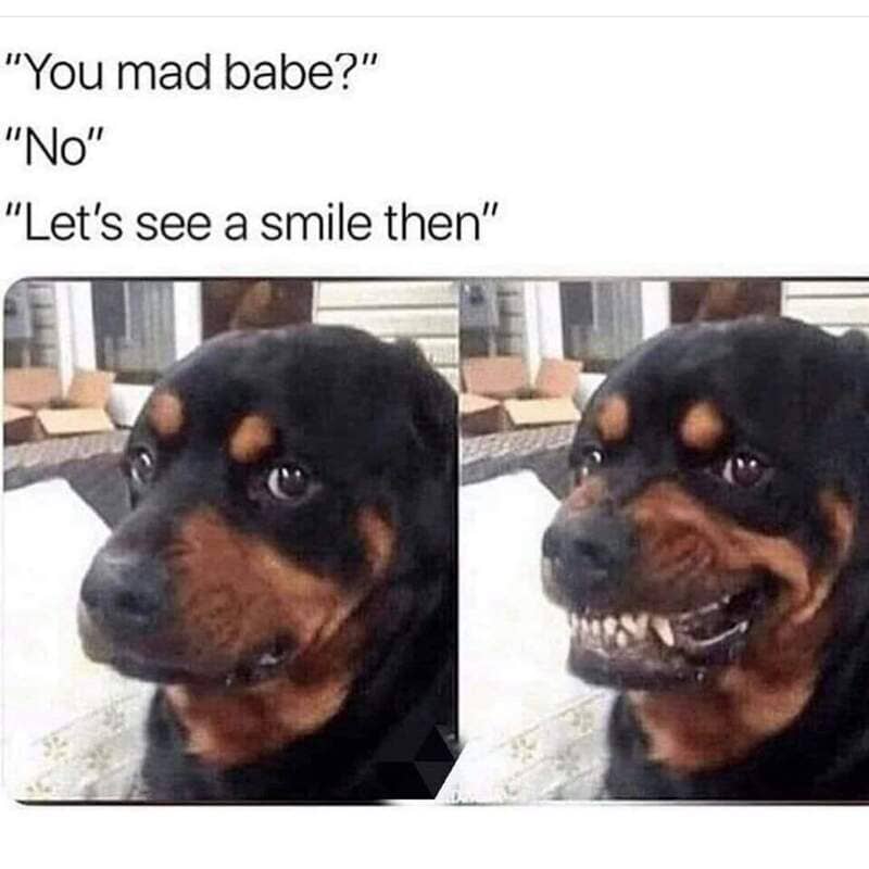 Rottweiler dog showing a serious face then smiling with teeth, humorous meme.