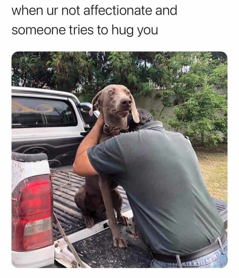 Dog hug, funny pet meme, relatable humor, dog and owner, outdoor scene.