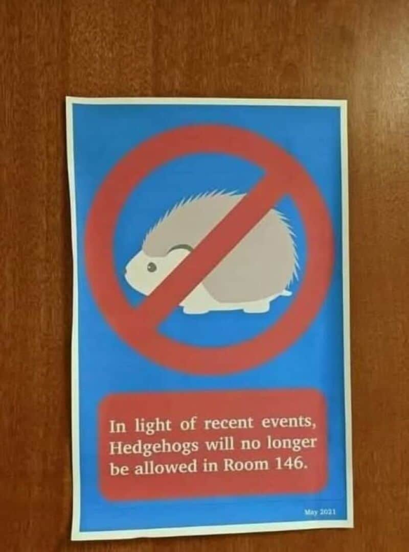 Hedgehogs no longer permitted in Room 146, as indicated by the official sign.